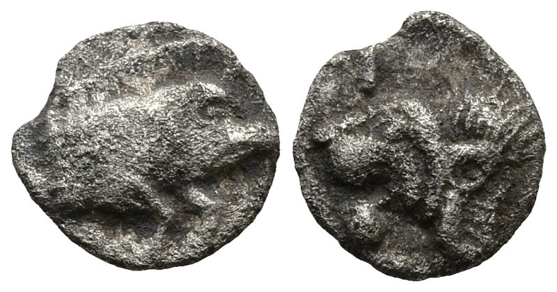 MYSIA. Kyzikos (Circa 450-400 BC)
AR Tetartemorion (6,4mm 0,23g)
Obv: Forepart...