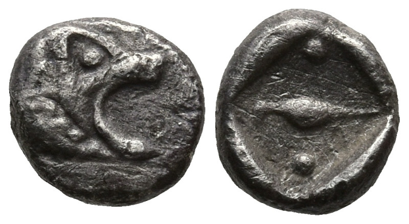 CARIA. Mylasa ? (Circa 525-494 BC)
AR tetartemorion (5,7mm 0,20g).
Obv: Forepa...