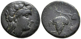 AEOLIS. Temnos. (3rd century BC)
AE Bronze (16.9mm 4.10g)
Obv: Head of Dionysos right, wearing ivy wreath.
Rev: Grape bunch on vine
SNG Copenhagen...