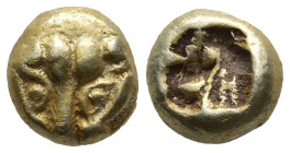 IONIA. Uncertain mint. (Circa 600-550 BC)
EL 1/24 stater (5,7mm 0,54g)
Obv: Facing head of lioness or panther
Rev: Incuse divided square punch with...