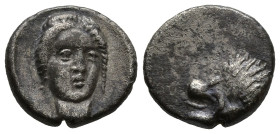 ASIA MINOR. Uncertain. (Circa 5th to 4th centuries BC).
AR Hemiobol (7,6mm 0,37g)
Obv: Head of Aphrodite (?) facing slightly to right
Rev: Head of ...