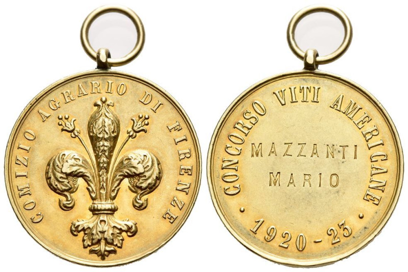 Italy, Firenze, Medal, Comizio Agrario Firenze 1920-1923, AV 25.00 mm., 8.59 g....