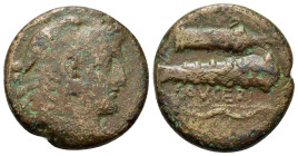 Italy. Northern Apulia, Luceria, c. 211-200 BC. Æ Quadrunx (24mm, 12g). Head of Herakles r., wearing lion's skin headdress; four pellets behind. R/ Qu...