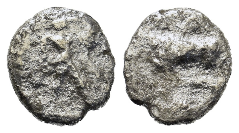 Italy. Northern Lucania, Poseidonia, c. 445-420 BC. AR Diobol (8,8mm, 0.7g). Pos...