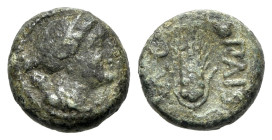 Italy, Northern Lucania, Paestum, c. 218-201 BC. Æ Uncia (12mm, 2.10g, 11h). Head of Artemis r.; bow and quiver over shoulder. R/ Corn ear; monogram t...