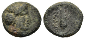 Italy. Southern Lucania. Metapontion, c. 300-250 BC. Æ (16mm, 3.3g). Wreathed head of Demeter r., wearing earring and necklace. R/ Grain ear with leaf...