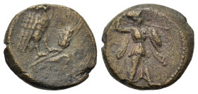 Italy. Southern Lucania. Metapontion, c. 300-250 BC. Æ (15mm, 2.9g), Athena Alkidemos r., brandishing thunderbolt and carrying shield dotted border. R...