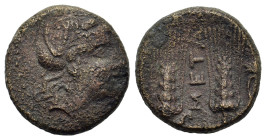 Italy. Southern Lucania. Metapontion, c. 225-200(?) BC. Æ (16mm, 4.5g). Wreathed head of Demeter to right. R/ Two grain ears with leaves to right; MET...