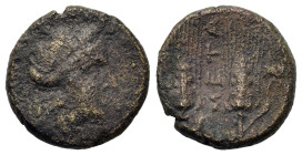 Italy. Southern Lucania. Metapontion, c. 225-200(?) BC. Æ (16mm, 4.8g). Wreathed head of Demeter to right. R/ Two grain ears with leaves to right; MET...