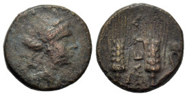 Italy. Southern Lucania. Metapontion, c. 225-200(?) BC. Æ (17mm, 4.5g). Wreathed head of Demeter to right. R/ Two grain ears with leaves to right; MET...