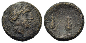Italy. Southern Lucania. Metapontion, c. 225-200(?) BC. Æ (16,9mm, 4.9g). Wreathed head of Demeter right. R/ Two grain ears; META up left field. Johns...