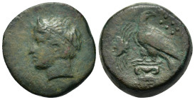 Sicily, Akragas, c. 400-380 BC. Æ (25mm, 16,65g). Head of river-god l., wearing hair-band. R/ Eagle standing l. on capital, holding head reverted; at ...