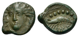Sicily, Himera, c. 420-407 BC. Æ Hemilitron (13,7mm, 1.77g). Head of nymph three-quarters facing, wearing broad ampyx, hair flying to sides. R/ Shrimp...