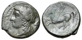 Sicily. Panormos (as Ziz), c. 336-330 BC. Æ (17mm, 4.16g, 12h). Laureate head of Apollo l.t; to r., dolphin downwards. R/ Pegasos flying l. CNS 8; SNG...