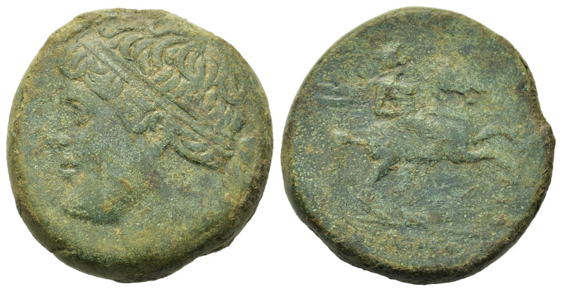 Sicily, Syracuse. Time of Hieron II (275-215 BC). Æ (26mm, 19g). Diademed head l...