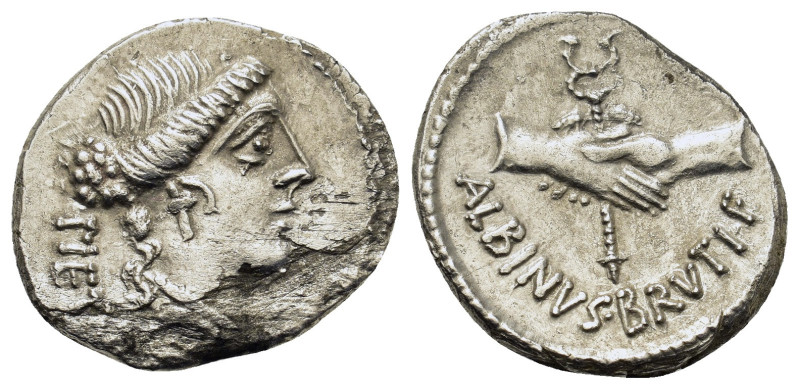 D. Junius Brutus Albinus, Rome, 48 BC. AR Denarius (19,4mm, 3.5g). Head of Pieta...