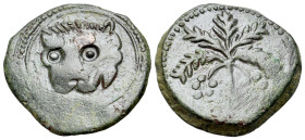 Italy, Sicily, Messina. Guglielmo II (1166-1189). Æ Large follaro (24mm, 10.13g, 12h ). Lion’s head. R/ Palm tree with dates. MEC 14, 431b.