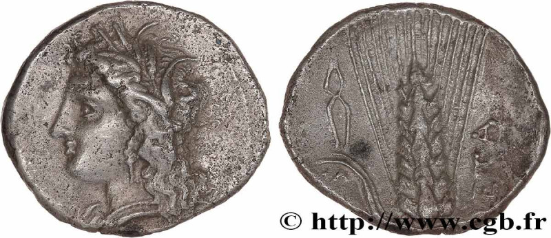 LUCANIA - METAPONTUM
Type : Nomos, statère ou didrachme 
Date : c. 300-280 AC. 
...