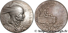 III REPUBLIC
Type : Médaille, GALLIA 
Date : n.d. 
Metal : silver 
Diameter : 41,5  mm
Engraver : PILLET Charles (1869-1960) 
Weight : 33,68  g.
Edge ...