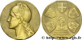 19TH CENTURY NOTARIES (SOLICITORS AND ATTORNEYS)
Type : Notaires de La Marne 
Date : n.d. 
Metal : bronze 
Diameter : 34  mm
Orientation dies : 12  h....