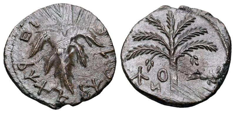 Judaea. Jerusalem. Bar Kochba Revolt AD 132-135. Attributed to year 3=AD 134/5
...