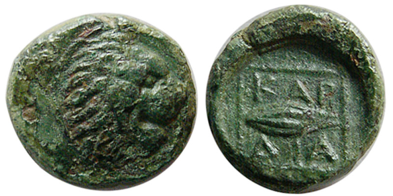 THRACE, Chersonesos. Ca. 386-309 BC. Æ (1.58 gm; 11 mm). Head of lion right / Ba...