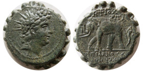 SELEUKID KINGS, Antiochos VI Dionysos. 144-142 BC. Serrate Æ.