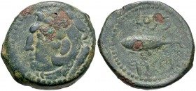 Spain, Gades, 2nd Century BC Half Unit, Herakles & Tunny