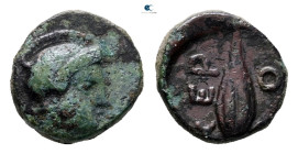 The Thracian Chersonese. Chersonesos circa 356-309 BC. Bronze Æ