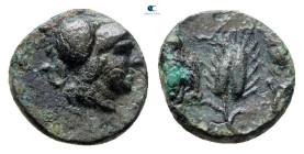 The Thracian Chersonese. Lysimacheia after circa 280 BC. Bronze Æ
