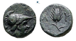 The Thracian Chersonese. Lysimacheia circa 280 BC. Bronze Æ
