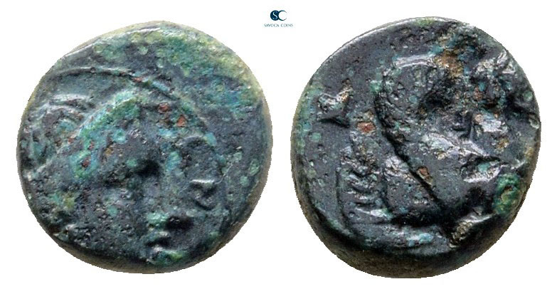 Mysia. Lampsakos circa 350-300 BC. 
Bronze Æ

10 mm, 1,16 g



Very Fine