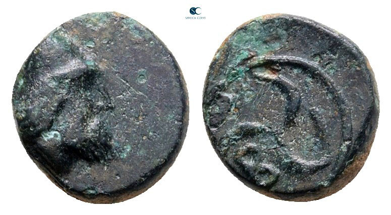 Troas. Birytis circa 350-300 BC. 
Bronze Æ

10 mm, 1,15 g



Very Fine