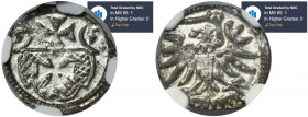 Sigismund II August, Denarius Elbing 1555 - NGC MS65 MAX - JEDYNY R3