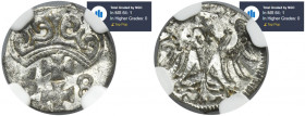 Sigismund II August, Denarius Danzig 1558 - NGC MS64 MAX - JEDYNY R4