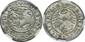 Sigismund I the Old, Half groschen Vilnius 1521 - NGC AU58