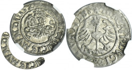 Sigismund I the Old, Half groschen Vilnius 1526 - NGC AU55 - VERY RARE, SICISMVNDI error III