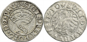 Sigismund I the Old, Schilling Thorn 1530 - VERY RARE R5