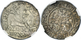 Sigismund II Augustus, Groschen Tykocin 1568 - L/LIT - NGC AU DETAILS