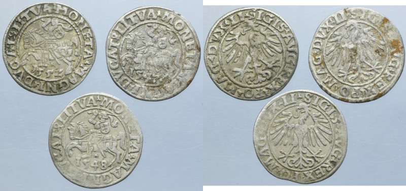 Lot, Sigismund II August, 1/2 Groschen Vilnius (3 pcs.) Lot of three 1/2 grosche...