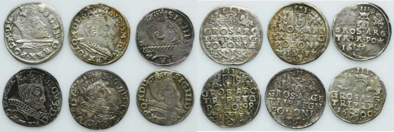 Lot, Sigismund III Vasa, 3 Groschen (6 pcs.) Lot of six 3 groschen of Sigismund ...