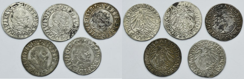 Lot, Duchy of Prussia, Albrecht Hohenzollern, Groschen Königsberg (5 pcs.) Lot o...