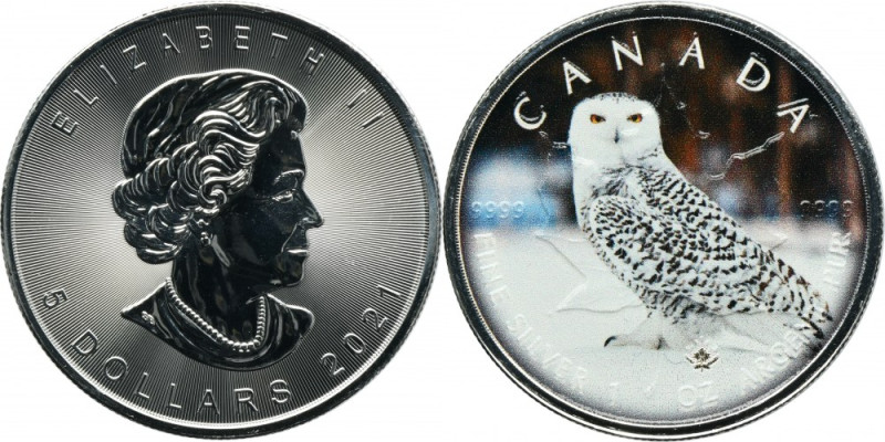 Canada, Elizabeth II, 5 Dollars 2021 - Snowy Owl 1 oz. '999' silver.
 Uncja czy...