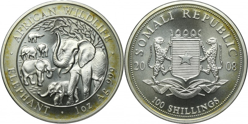 Somalia, 100 Shillings Munich 2008 - African elephant 1 oz. '999' silver
 Uncja...