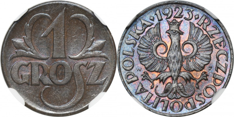 1 grosz 1923 - NGC MS65 BN Kolor brązowy. Mennicza moneta z oceną MS65 od NGC. R...