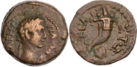 ÄGYPTEN ALEXANDRIA
Augustus, 27 v. Chr. - 14 n. Chr. AE-Obol 5. Serie, 1-5 n. Chr. Vs.: Kopf mit Lorbeerkranz n. r., Rs.: Füllhorn Dattari/Savio 55; ...