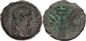 ÄGYPTEN ALEXANDRIA
Claudius, 41-54 n. Chr. AE-Diobol 49/50 n. Chr. (= Jahr 10) Vs.: Kopf mit Lorbeerkranz n. r., rechts im Feld Jahresangabe, Rs.: Bü...