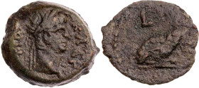 ÄGYPTEN ALEXANDRIA
Claudius, 41-54 n. Chr. AE-Hemiobol 49/50 n. Chr. (= Jahr 10) Vs.: Kopf mit Lorbeerkranz n. r., Rs.: Kröte sitzt n. r., oben Jahre...