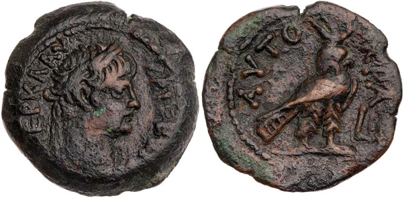 ÄGYPTEN ALEXANDRIA
Nero, 54-68 n. Chr. AE-Obol 63/64 n. Chr. (= Jahr 10) Vs.: K...