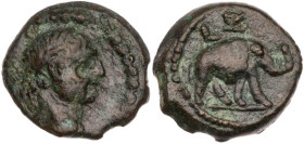 ÄGYPTEN ALEXANDRIA
Traianus, 98-117 n. Chr. AE-Dichalkon 103/104 n. Chr. (= Jahr 7) Vs.: Kopf mit Lorbeerkranz n. r., Rs.: Elefant schreitet n. r., o...